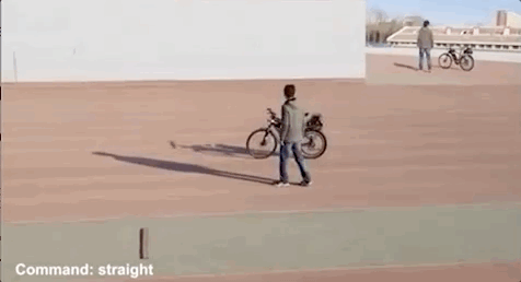 ���Լܹ��߸���ͳ���廪���оƬ���ϡ���Ȼ������