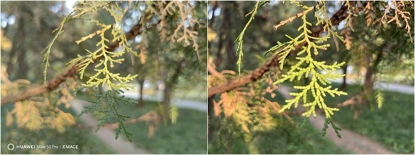 华为Mate50可变光圈影像能提升多少?iPhone 13 Pro Max表示不服