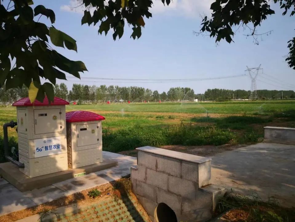 G+速