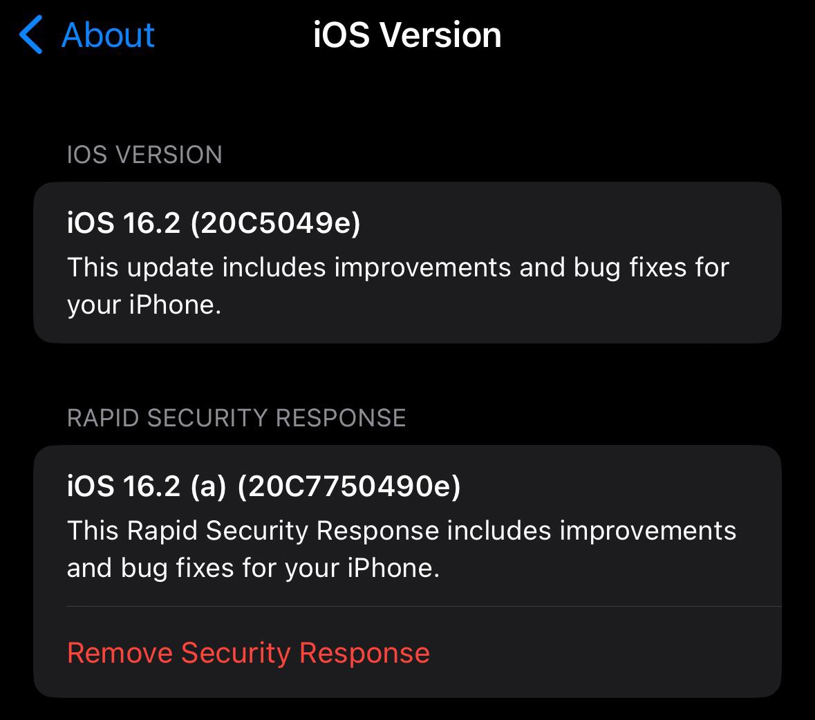 苹果面向 iOS 16.2 Beta 用户发布快速安全响应更新 - 通信终端