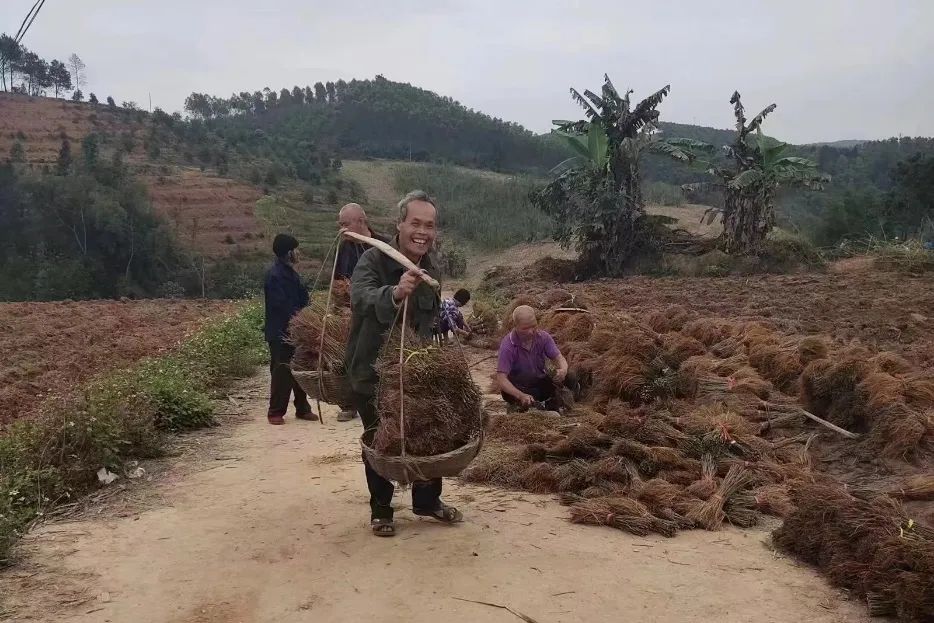 联通数字乡村激活智慧基因 边陲小村旧貌换新颜 - 中国联通