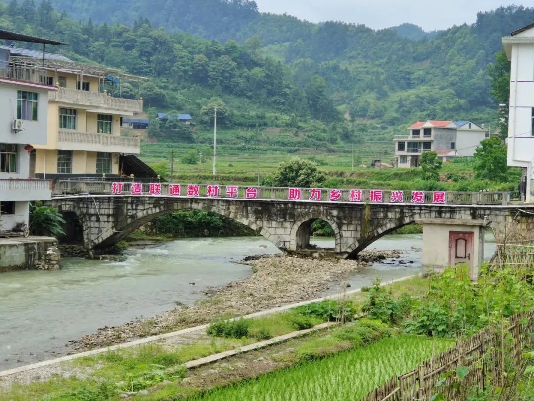 联通数字乡村赋能山村巨变 让乡村振兴更有“数” - 中国联通