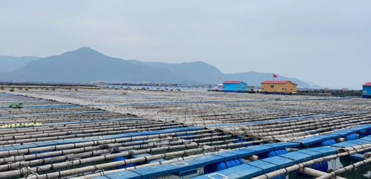 漳州电信携手华为打造电信首个5G海域连续覆盖城市，助力提速海洋强国 - 华为