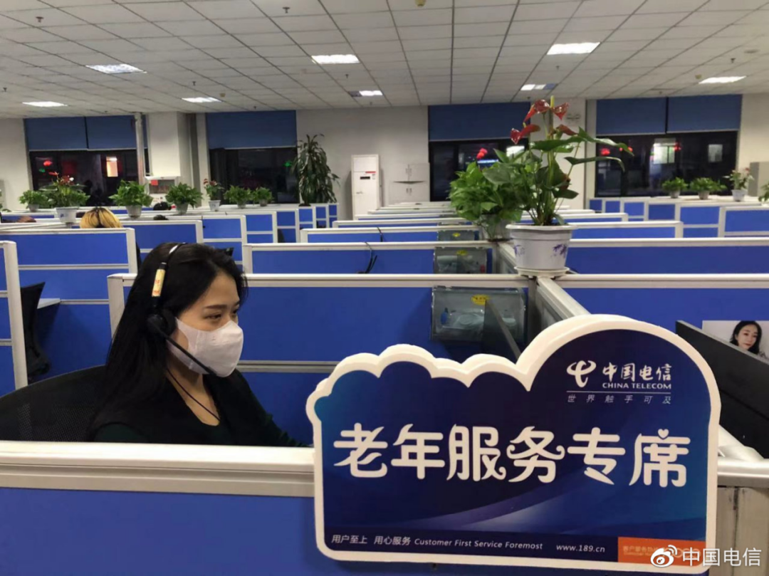 好服务更随心 山东电信书写满意服务新答卷 - 山东