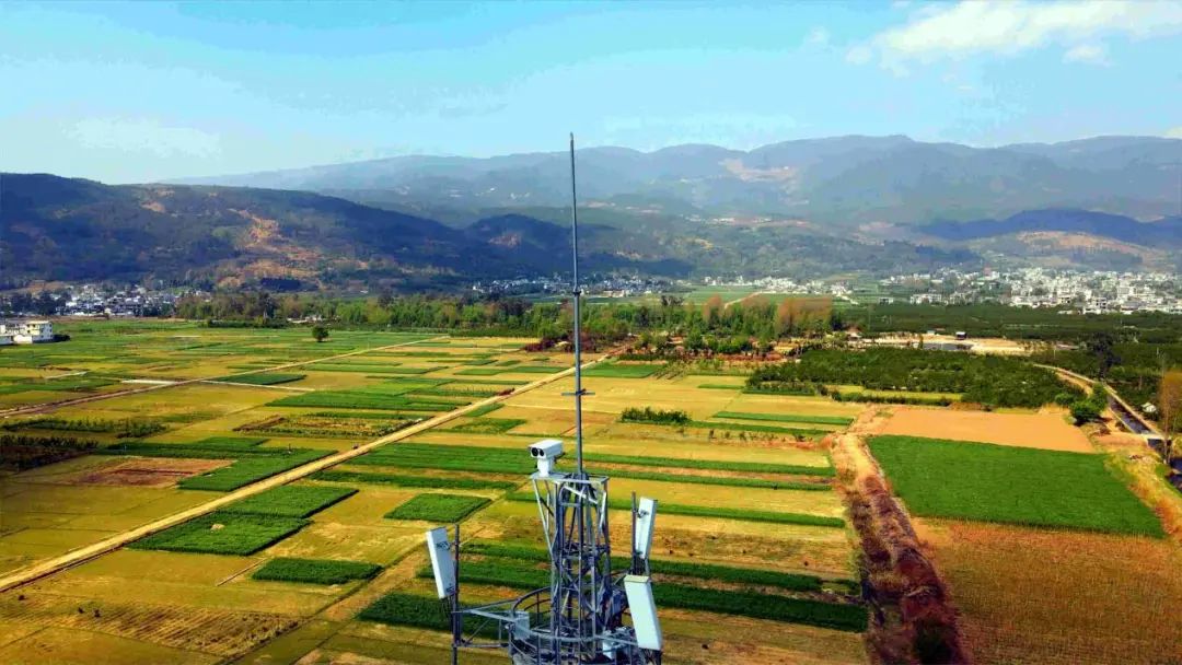 中国移动5G赋能 护航林草生态安全 - 中国移动