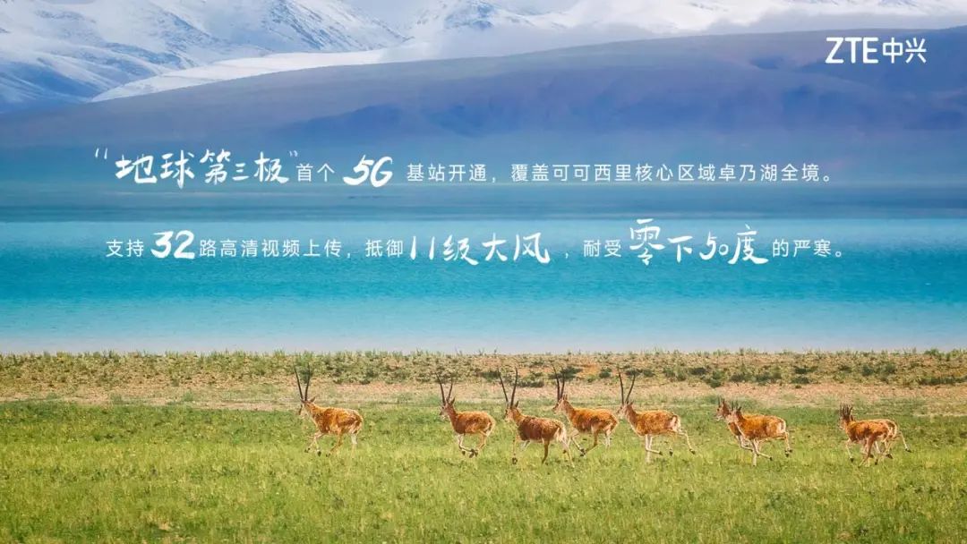 G连通无人区，青海移动携手中兴通讯守护可可西里