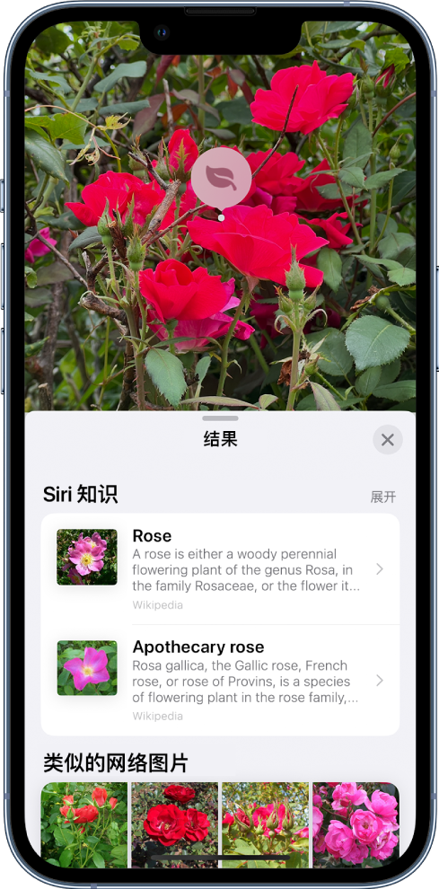 苹果iOS17升级“看图查询”功能，可识别仪表盘图标告诉你跳灯原因 - 通信终端