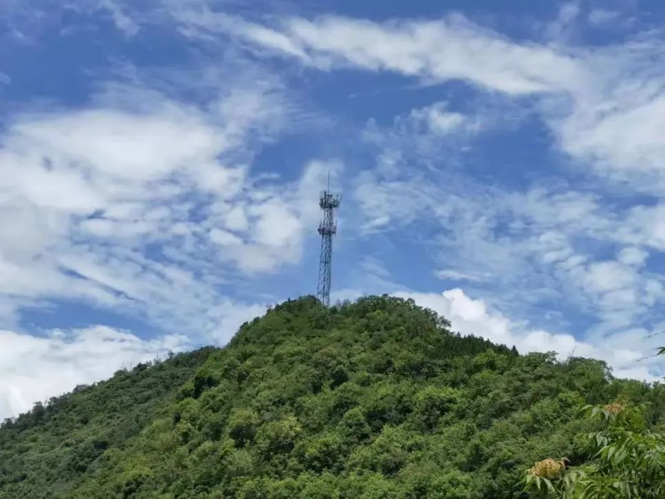 聚焦西部乡博会：陕西移动为乡村振兴注智赋能 - 陕西