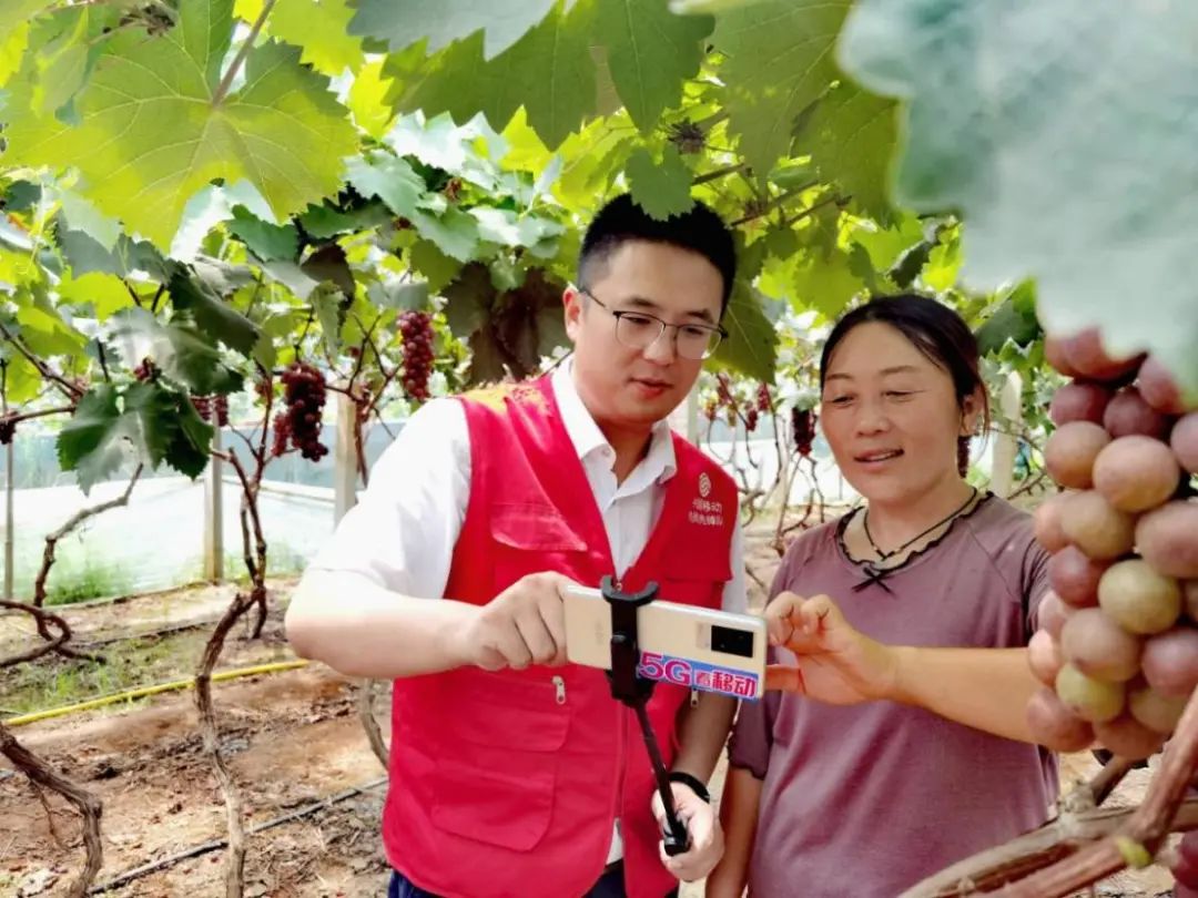 我国固定宽带费用全球第二低，中国移动做了这些努力！ - 中国移动