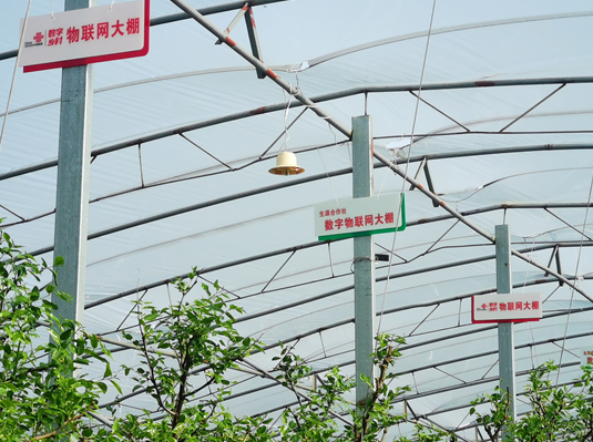 光网赋能 智慧兴村：中国联通数字乡村平台助力乡村振兴 - 中国联通