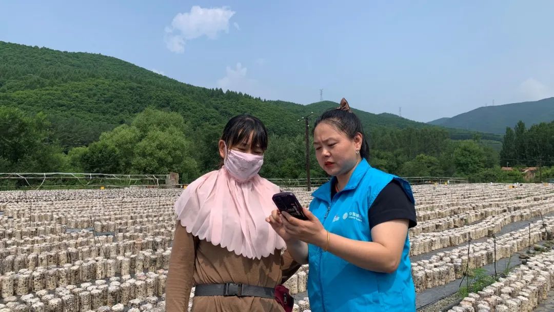 牡丹江东宁移动推动乡村黑木耳产业振兴，奏响数智凯歌 - 黑龙江