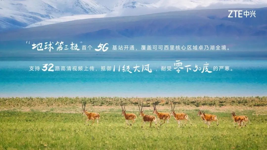 中兴通讯获选年度中国ESG卓越实践30强 - 中兴