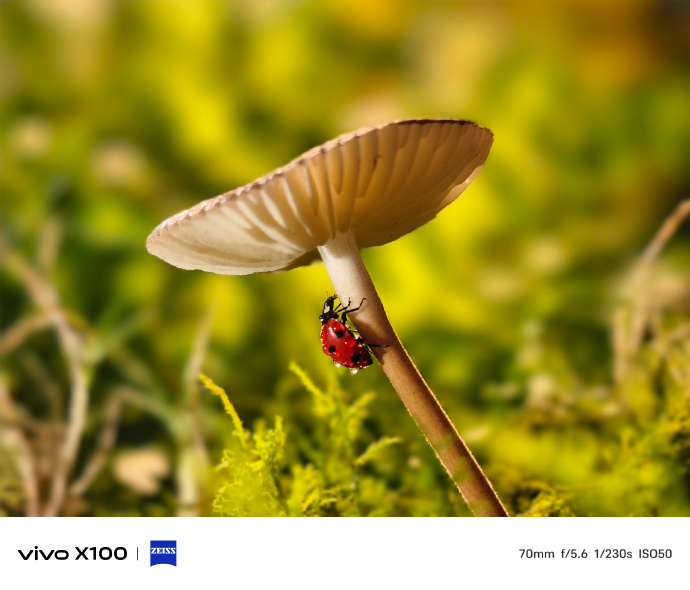 vivo X100 Pro手机外观及拍摄样张公布，橙、蓝配色 + 曲面屏设计 - 通信终端
