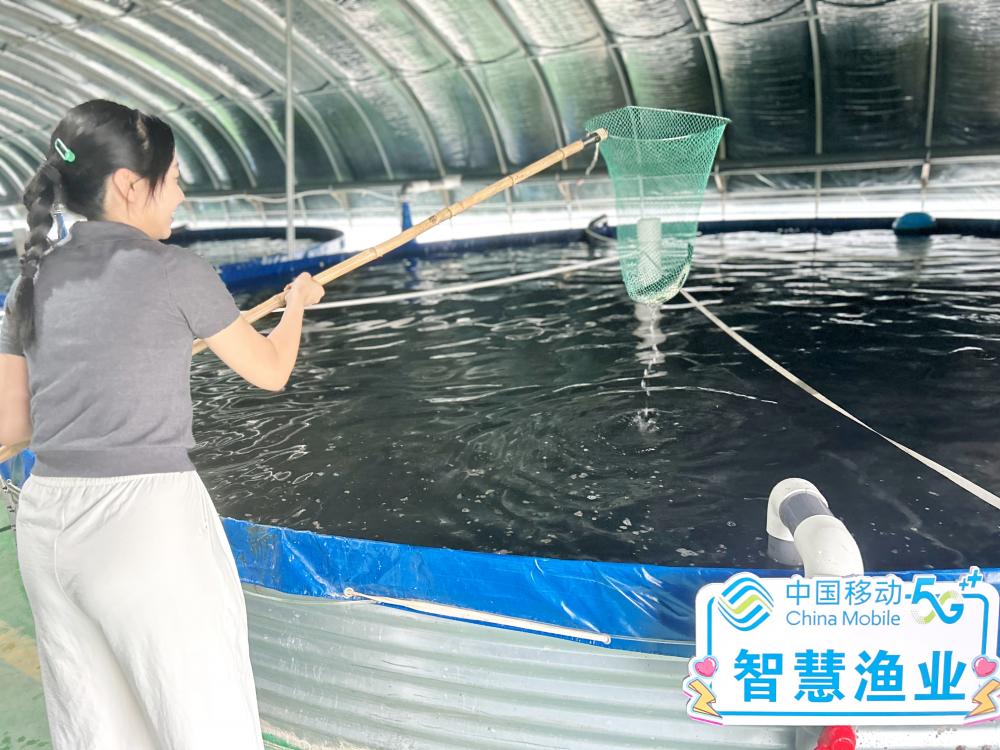 为了守护好水源,当地开始逐步取消网箱养鱼的方式.