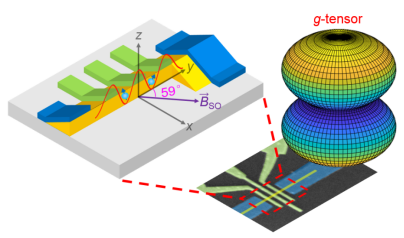 中国科大在硅基半导体锗纳米线量子芯片研究中取得重要进展