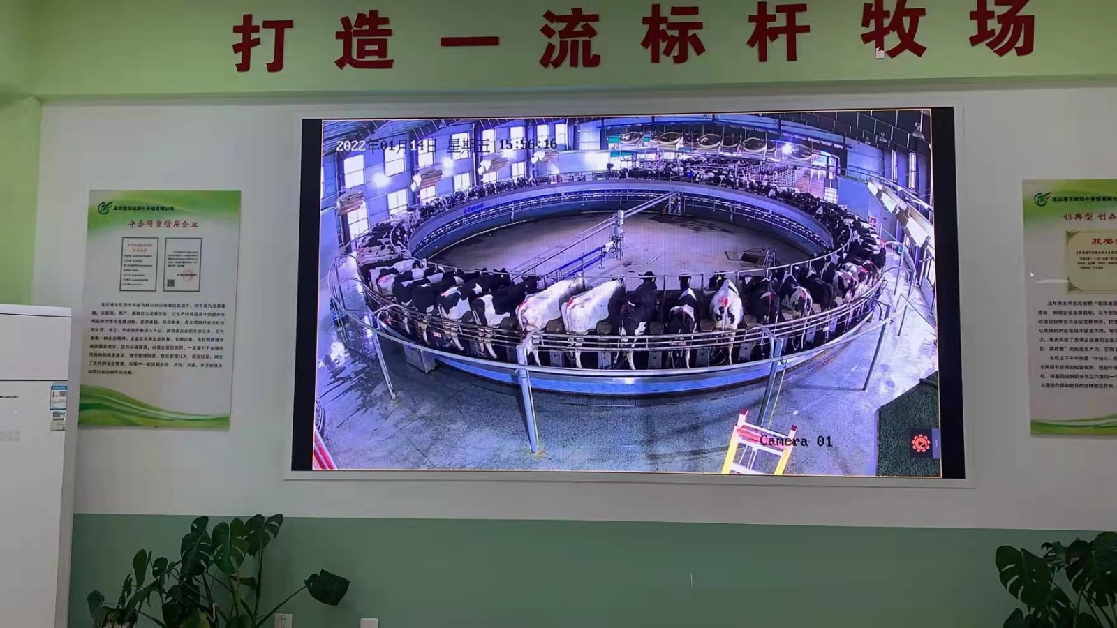 连云港海州移动智能化助推奶牛养殖业进入“快车道” - 江苏