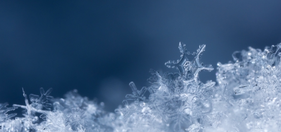 让每片雪花都被看见！北京移动协同中兴通讯实现冬奥纪实8K超高清试验频道开播 - 中兴